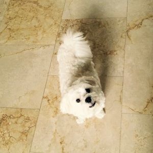 Meet your Posher, Ethan